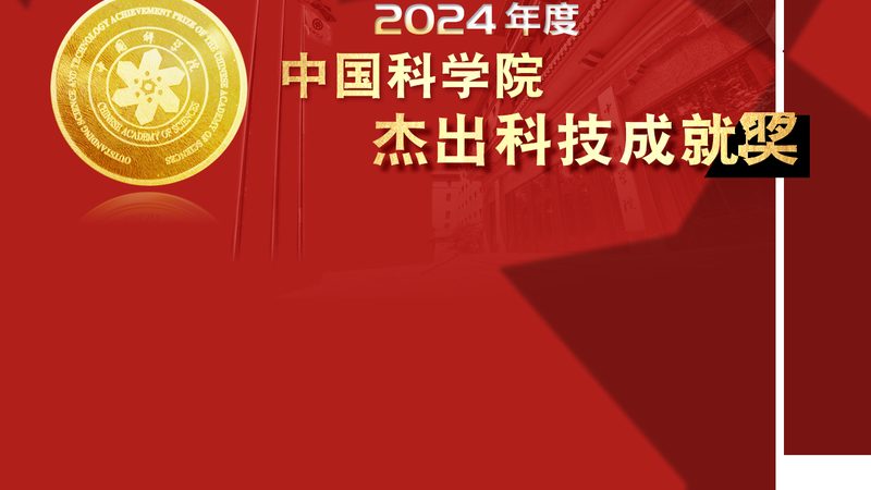 企业数字化解决方案：性价比背后的关键考量