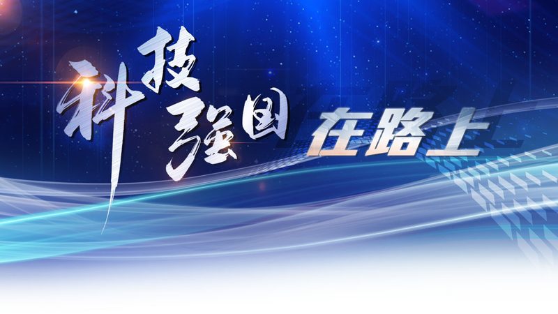 财务人员如何高效利用数据可视化工具